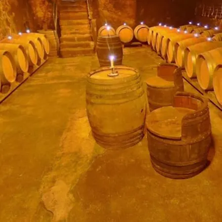 Le Coeur Du Vignoble Appartement *